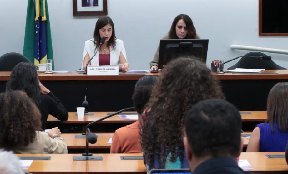 Instituto critica PL da Misoginia e alerta sobre liberdade de expressão