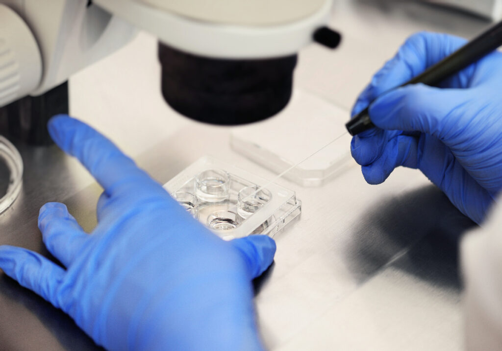 A fertilização in vitro mata mais bebês do que a paternidade planejada